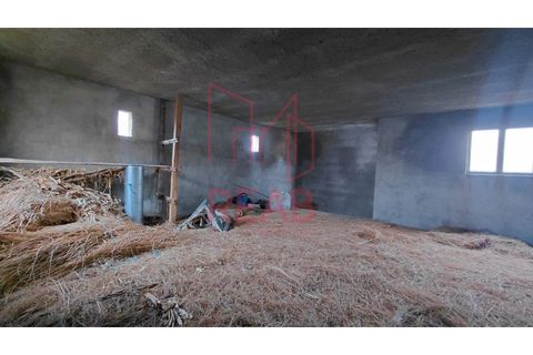 Villa a Aguiar da Beira, Guarda, Aguiar da Beira - € 19.000 | Ref: 263B/ 2026 - foto 5