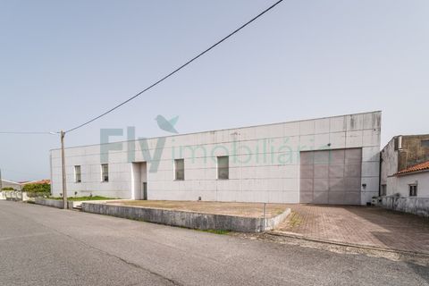Bungalow i Cantanhede, Coimbra, Cantanhede - € 850.000 | Ref: F2604.082 - foto 33