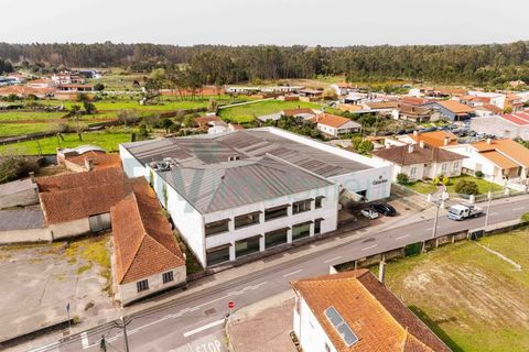 Bungalow i Cantanhede, Coimbra, Cantanhede - € 850.000 | Ref: F2604.082 - foto 34