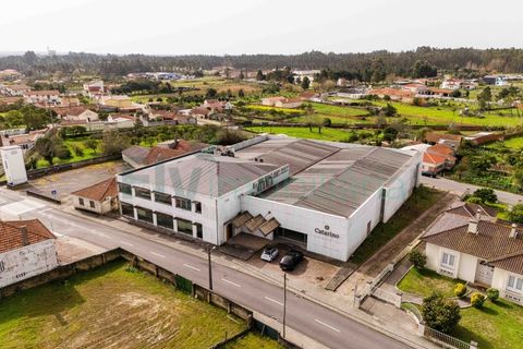 Bungalow i Cantanhede, Coimbra, Cantanhede - € 850.000 | Ref: F2604.082 - foto 36