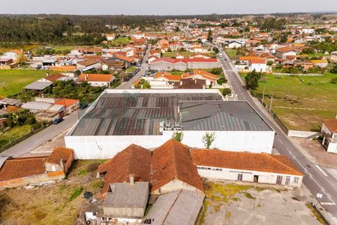 Bungalow i Cantanhede, Coimbra, Cantanhede - € 850.000 | Ref: F2604.082 - foto 37
