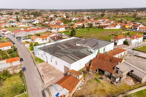 Bungalow i Cantanhede, Coimbra, Cantanhede - € 850.000 | Ref: F2604.082 - foto 38