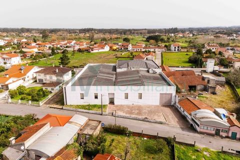 Bungalow i Cantanhede, Coimbra, Cantanhede - € 850.000 | Ref: F2604.082 - foto 39