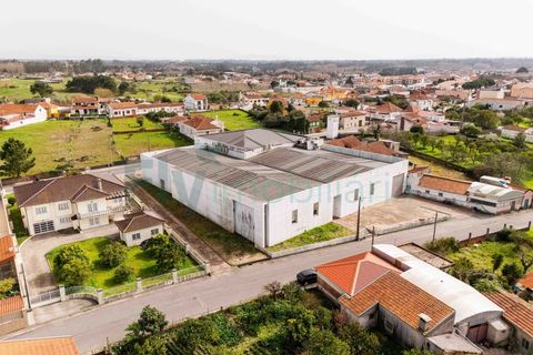 Bungalow i Cantanhede, Coimbra, Cantanhede - € 850.000 | Ref: F2604.082 - foto 40