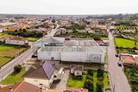 Bungalow i Cantanhede, Coimbra, Cantanhede - € 850.000 | Ref: F2604.082 - foto 41