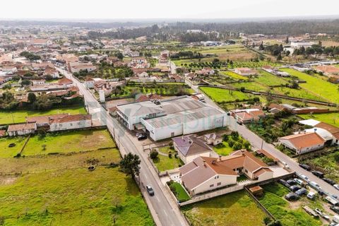 Bungalow i Cantanhede, Coimbra, Cantanhede - € 850.000 | Ref: F2604.082 - foto 42