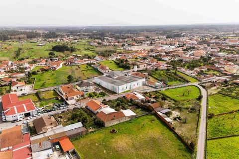 Bungalow i Cantanhede, Coimbra, Cantanhede - € 850.000 | Ref: F2604.082 - foto 50