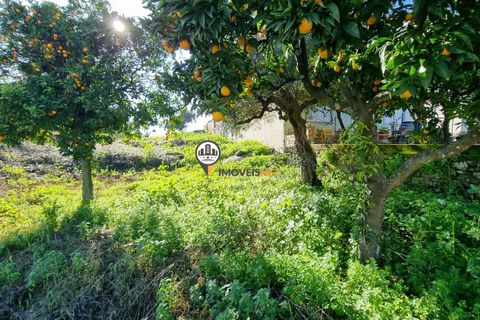 Helårsgrund i Castelo Branco, Castelo Branco, Castelo Branco - € 50.000 | Ref: 2949 - foto 2