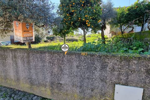 Helårsgrund i Castelo Branco, Castelo Branco, Castelo Branco - € 50.000 | Ref: 2949 - foto 3