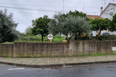 Helårsgrund i Castelo Branco, Castelo Branco, Castelo Branco - € 50.000 | Ref: 2949 - foto 9