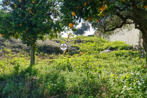 Helårsgrund i Castelo Branco, Castelo Branco, Castelo Branco - € 50.000 | Ref: 2949 - foto 10