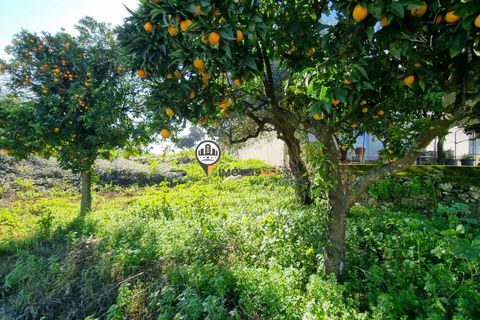 Helårsgrund i Castelo Branco, Castelo Branco, Castelo Branco - € 50.000 | Ref: 2949 - foto 11