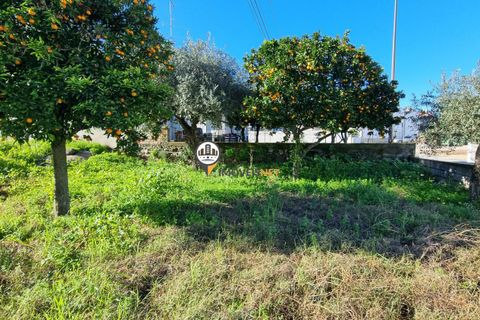 Helårsgrund i Castelo Branco, Castelo Branco, Castelo Branco - € 50.000 | Ref: 2949 - foto 12