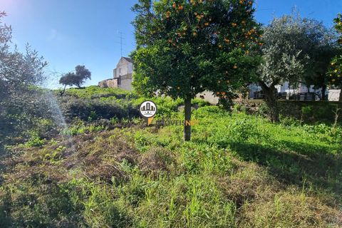 Helårsgrund i Castelo Branco, Castelo Branco, Castelo Branco - € 50.000 | Ref: 2949 - foto 13