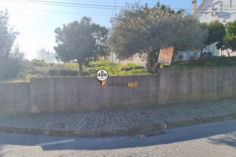 Helårsgrund i Castelo Branco, Castelo Branco, Castelo Branco - € 50.000 | Ref: 2949 - foto 15