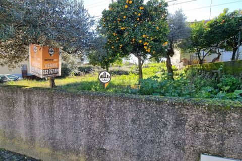 Helårsgrund i Castelo Branco, Castelo Branco, Castelo Branco - € 50.000 | Ref: 2949 - foto 17