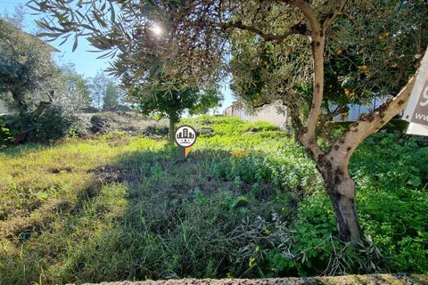 Helårsgrund i Castelo Branco, Castelo Branco, Castelo Branco - € 50.000 | Ref: 2949 - foto 18