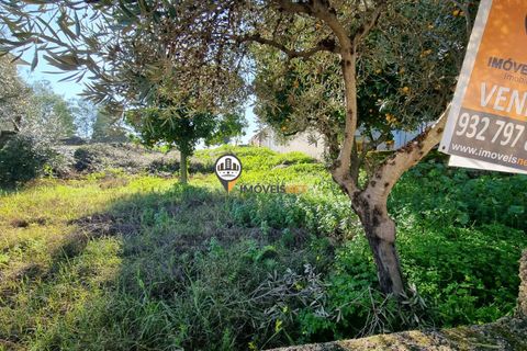 Helårsgrund i Castelo Branco, Castelo Branco, Castelo Branco - € 50.000 | Ref: 2949 - foto 19