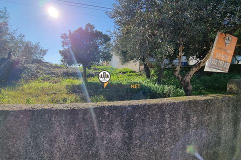 Helårsgrund i Castelo Branco, Castelo Branco, Castelo Branco - € 50.000 | Ref: 2949 - foto 20