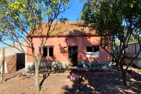 Terra a Quinta do Anjo, Setubal, Quinta do Anjo - € 250.000 | Ref: PH2932 - foto 3
