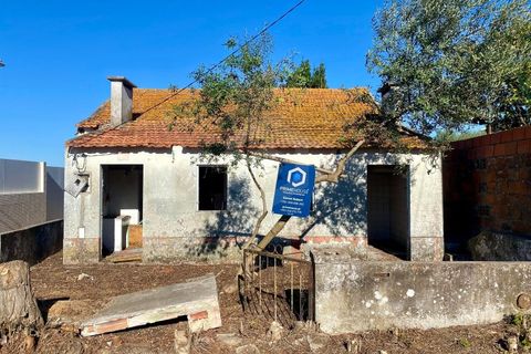 Terra a Quinta do Anjo, Setubal, Quinta do Anjo - € 250.000 | Ref: PH2932 - foto 4