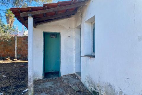 Terra a Quinta do Anjo, Setubal, Quinta do Anjo - € 250.000 | Ref: PH2932 - foto 5