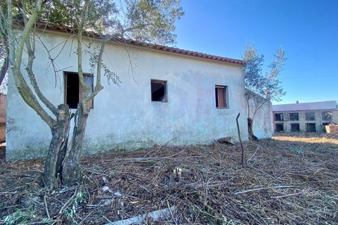 Terra a Quinta do Anjo, Setubal, Quinta do Anjo - € 250.000 | Ref: PH2932 - foto 6