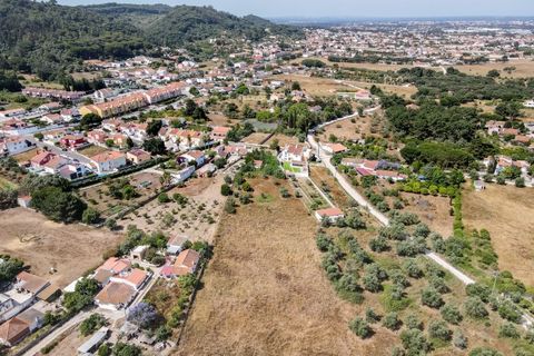 Terra a Quinta do Anjo, Setubal, Quinta do Anjo - € 250.000 | Ref: PH2932 - foto 10