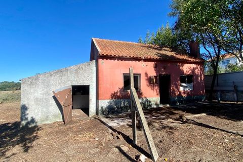 Terra a Quinta do Anjo, Setubal, Quinta do Anjo - € 250.000 | Ref: PH2932 - foto 8