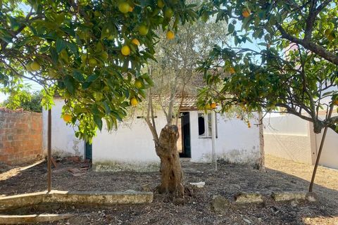 Terra a Quinta do Anjo, Setubal, Quinta do Anjo - € 250.000 | Ref: PH2932 - foto 2