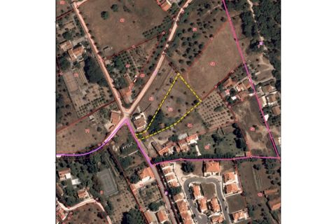Terra a Quinta do Anjo, Setubal, Quinta do Anjo - € 250.000 | Ref: PH2932 - foto 18