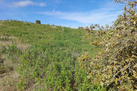 Helårsgrund i Castro Marim, Faro, Castro Marim - € 24.000 | Ref: SÒL_571 - foto 10