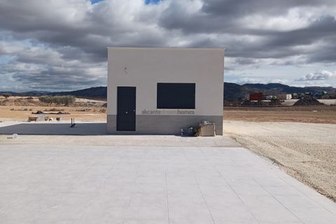 Villa i Pinoso, Alicante, Pinoso - € 329.000 | Ref: PT3133 - foto 5