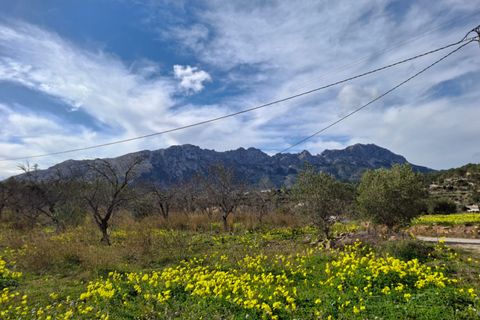 Finca i Benissa, Alicante, Benissa - € 499.990 | Ref: N7322 - foto 26