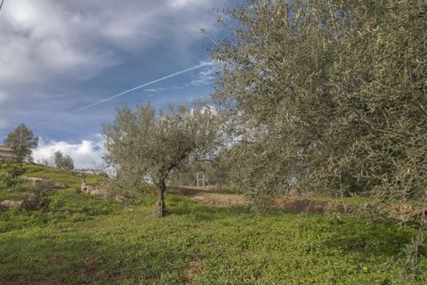 Landejendom i Riogordo, Malaga - foto 2