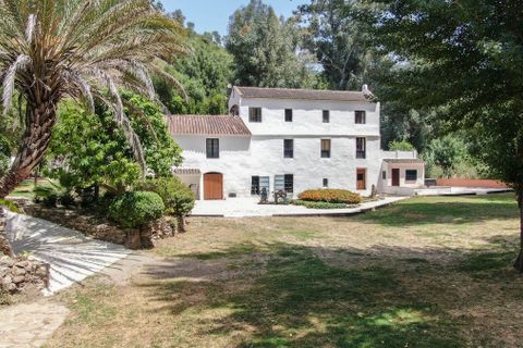 Finca i Gaucin, Malaga, Gaucin - € 850.000 | Ref: DPIe23554 - foto 2