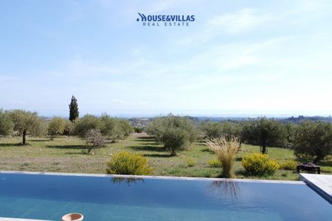 Villa i Noto, Siracusa, Noto - € 1.120.000 | Ref: 1080 - foto 3