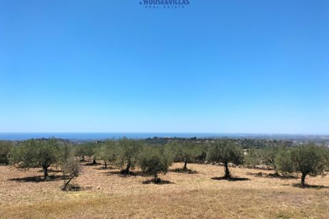 Villa i Noto, Siracusa, Noto - € 1.120.000 | Ref: 1080 - foto 8