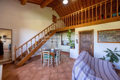 Landejendom i Rosignano Marittimo, Livorno, Rosignano Marittimo - € 2.500.000 | Ref: ito2924 - foto 9