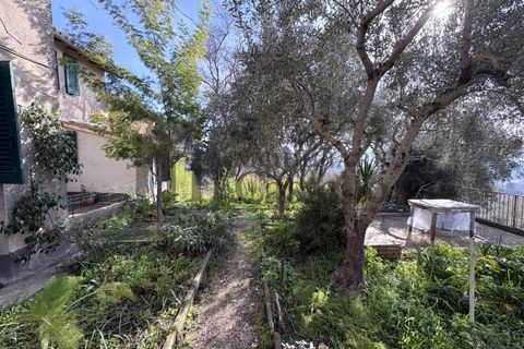 Rækkehus i Panicale, Perugia, Panicale - € 160.000 | Ref: Po367 - foto 27
