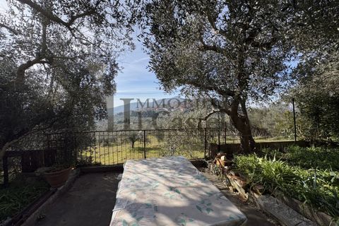 Rækkehus i Panicale, Perugia, Panicale - € 160.000 | Ref: Po367 - foto 28