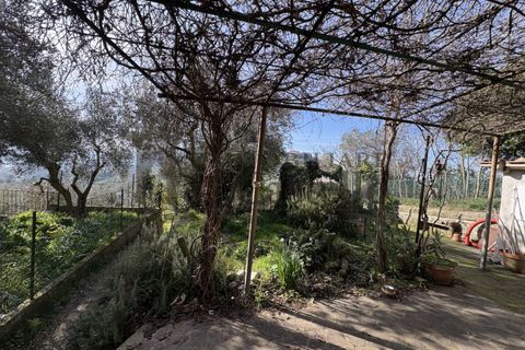 Rækkehus i Panicale, Perugia, Panicale - € 160.000 | Ref: Po367 - foto 29