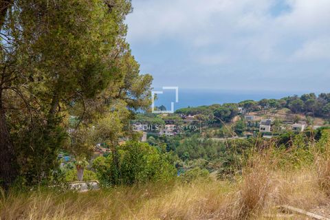 Terra a Blanes, Gerona, Blanes - € 695.000 | Ref: CBR61219 - foto 3