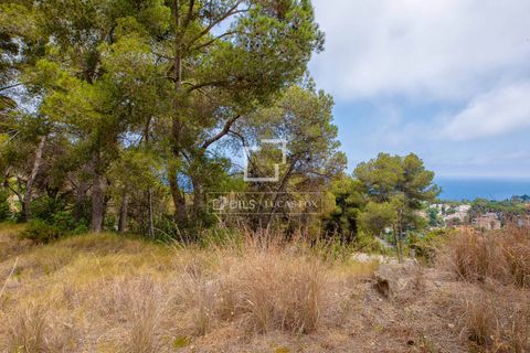 Terra a Blanes, Gerona, Blanes - € 695.000 | Ref: CBR61219 - foto 5