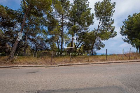 Terra a Blanes, Gerona, Blanes - € 695.000 | Ref: CBR61219 - foto 8
