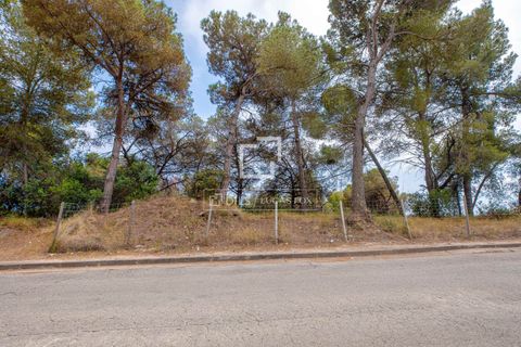 Terra a Blanes, Gerona, Blanes - € 695.000 | Ref: CBR61219 - foto 9