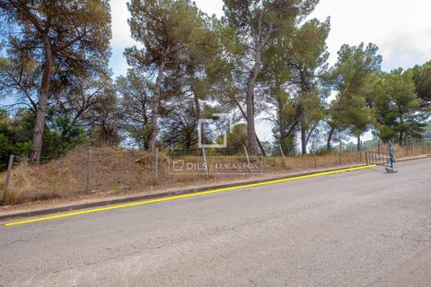 Terra a Blanes, Gerona, Blanes - € 695.000 | Ref: CBR61219 - foto 10