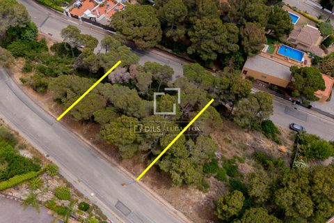 Terra a Blanes, Gerona, Blanes - € 695.000 | Ref: CBR61219 - foto 12