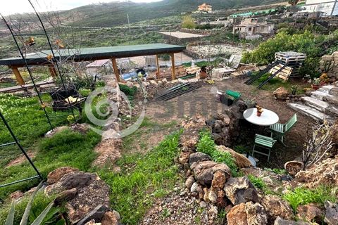 Casa di campagna Charco Del Pino, Tenerife - foto 3
