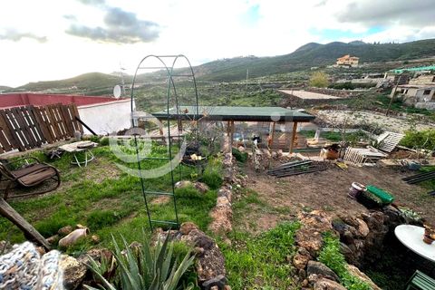Casa di campagna Charco Del Pino, Tenerife - foto 5